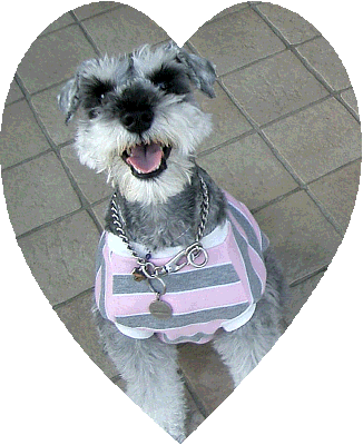 ������������Ăˁ�